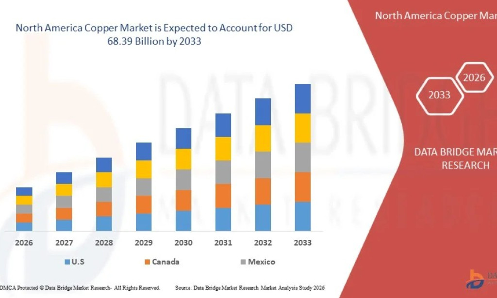 North America Copper Market Size, Share, Trends, Growth Opportunities, Key Drivers and Competitive Outlook