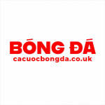 cacuocbongdacouk