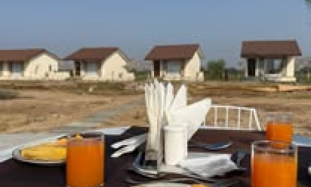 Top Jawai Leopards Hills Safari: Discover the Wild Beauty of Rajasthan