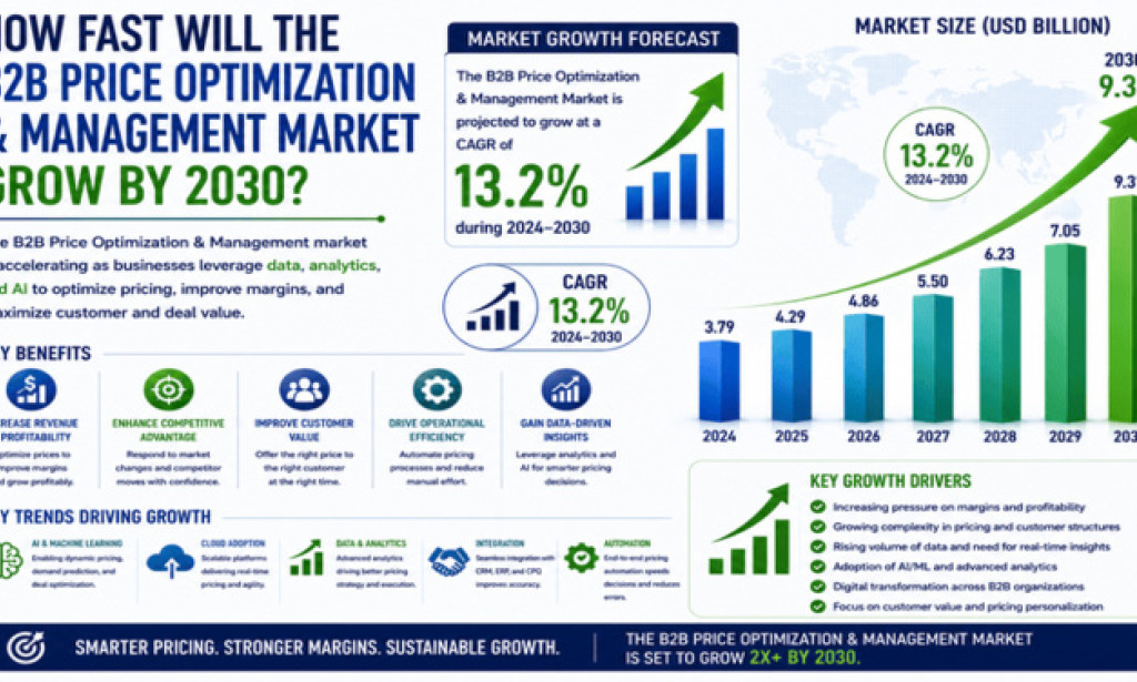 How Fast Will the B2B Price Optimization & Management Market Grow by 2030?