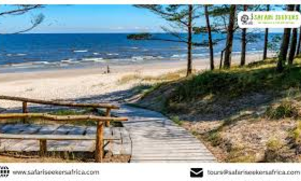 How Kenya Safari and Beach Vacations Create Unforgettable African Getaways