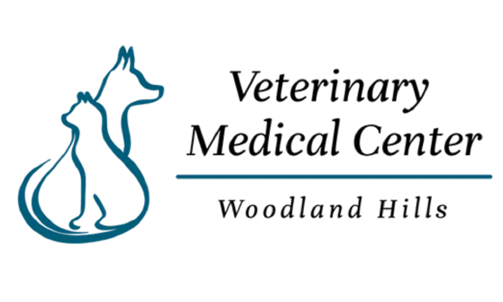 How to Choosing the Right San Fernando Valley Vet Is Essential for Your Pet’s Health