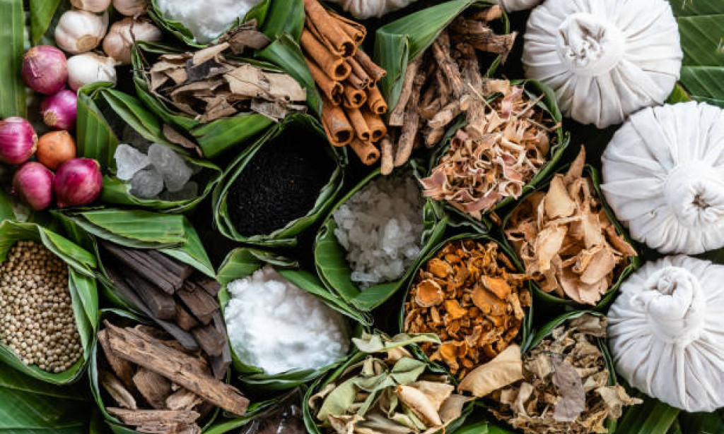 What Is Fueling Botanical Innovation in Argentina Herbal and Traditional Products?