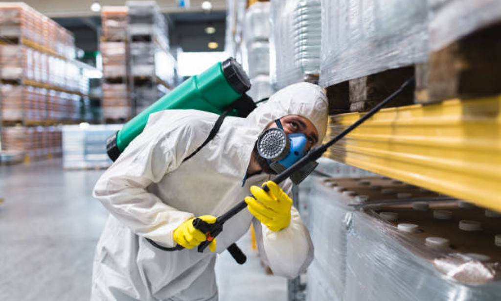 How Residential Pest Control Services Protect Home Value