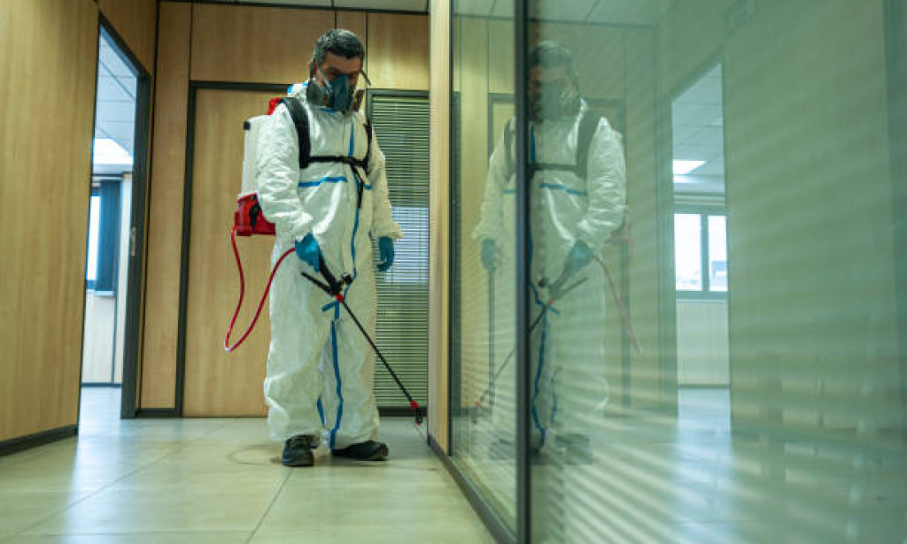 How Commercial Pest Control Services Protect Property Value