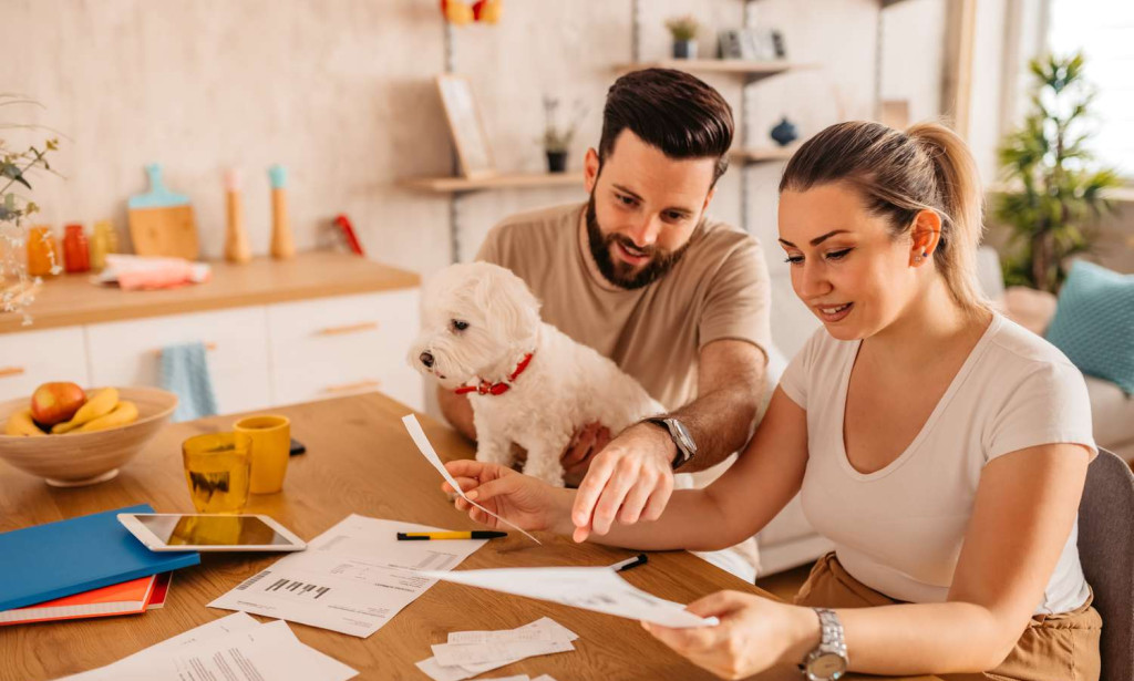 How Does Pet Insurance Work?