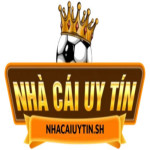 Nhà Cái Uy Tín