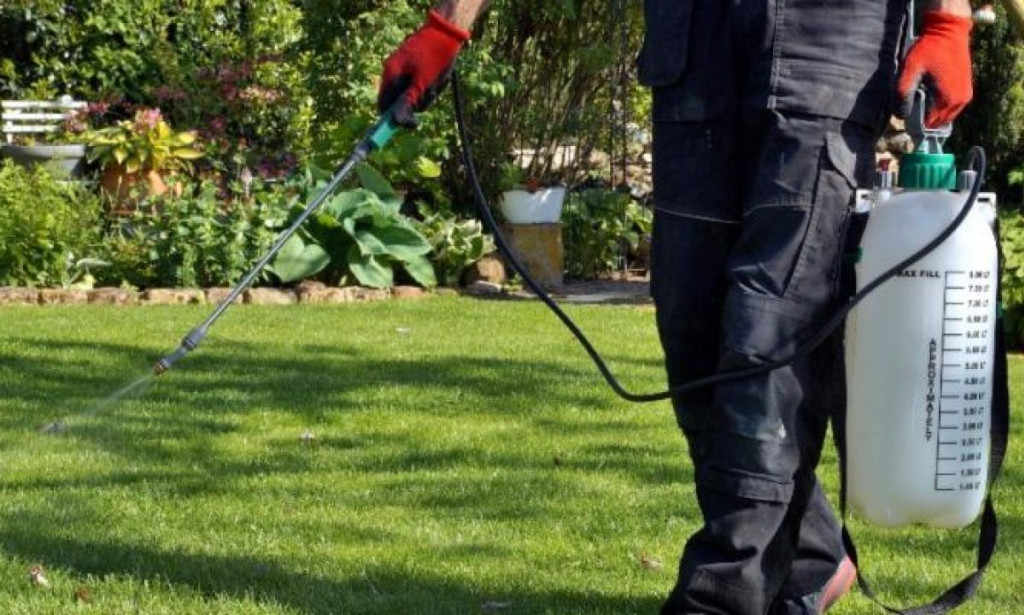 How Premium Lawn Care Increases Metro Vancouver Home ROI