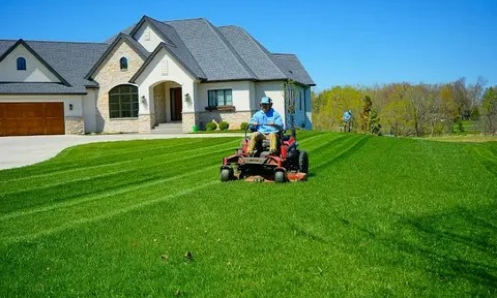 How a Elite Lawn Care Company Protects BC Property ROI