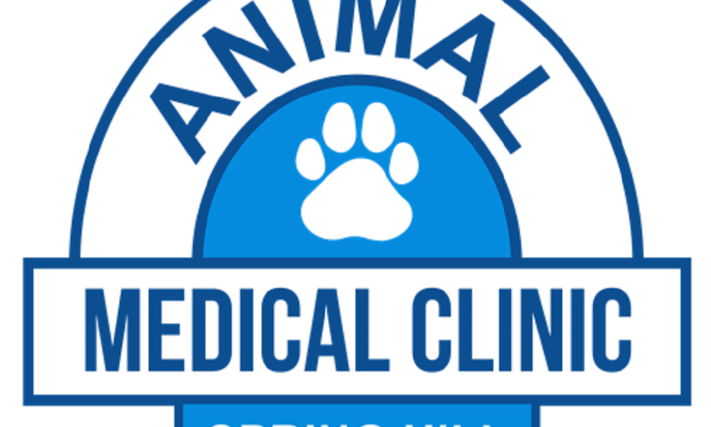 How to Navigating Lifelong Wellness and Care for Your Household Pets