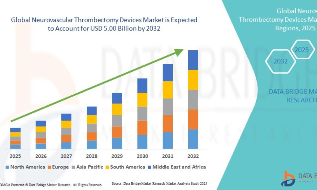 Neurovascular Thrombectomy Devices Market Size, Share, Trends, Growth Opportunities, Key Drivers and Competitive Outlook