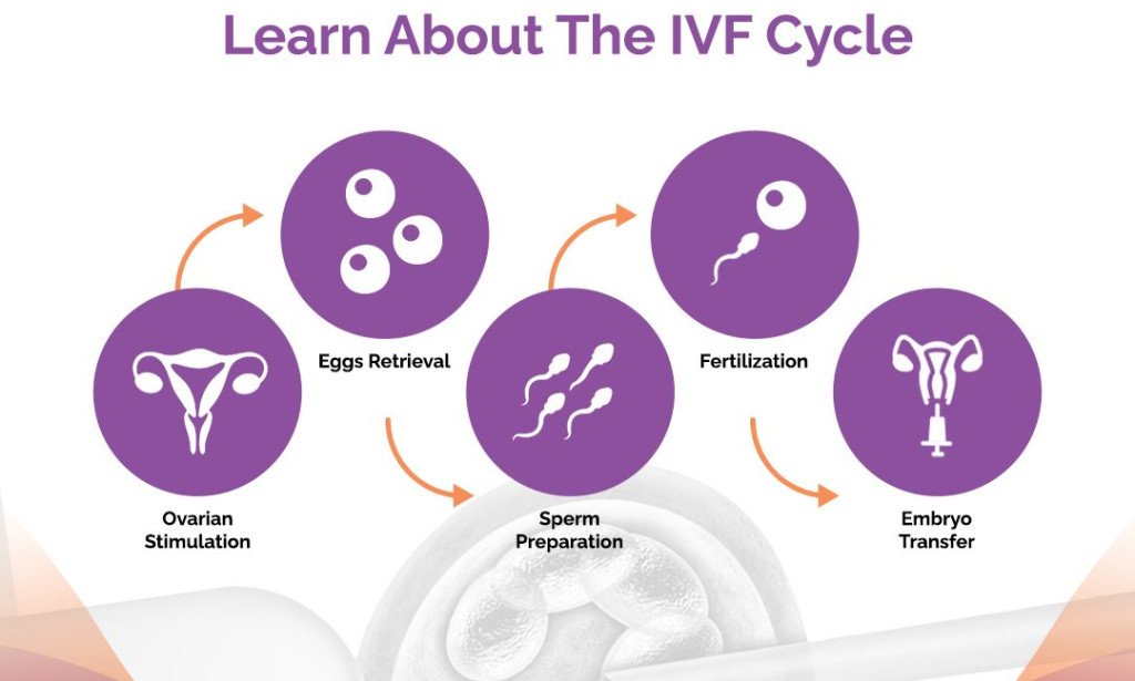 What Is the Average Cost of IUI in Pakistan?