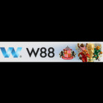 W88my net