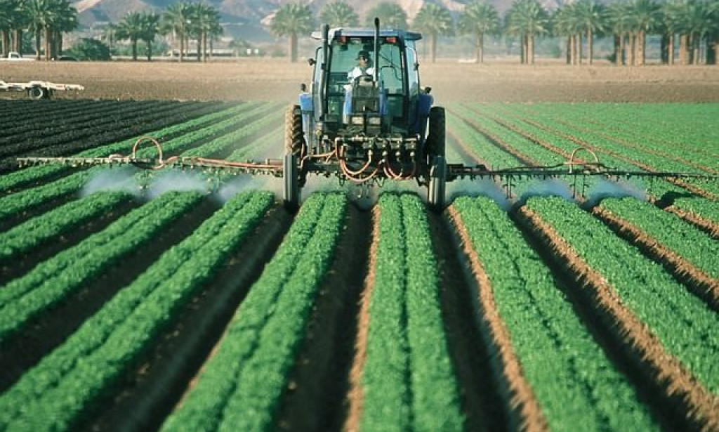 Top Strategies for Choosing a Premium Agricultural Oil Supplier