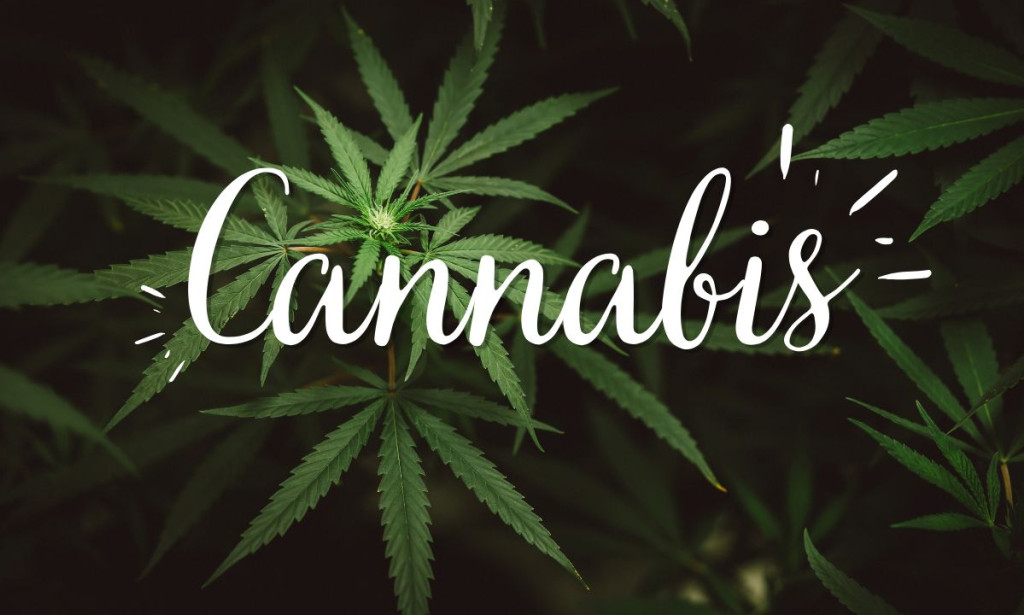 The Rise of Late-Night Weed Delivery How Online Cannabis Ordering Became the New Trend Brooklyn NY