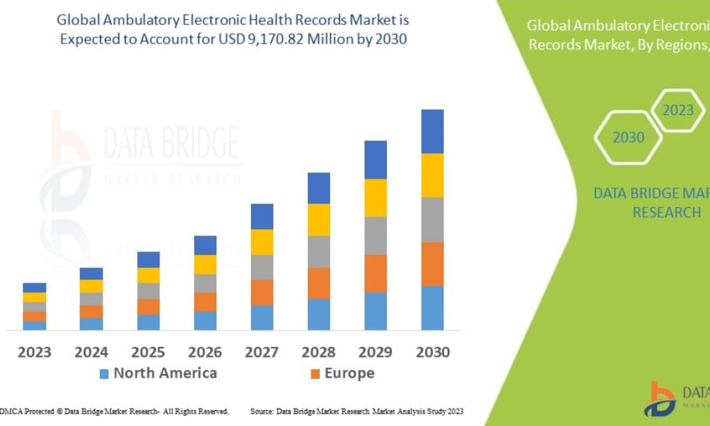 Ambulatory Electronic Health Records Market Expands with Growing Digitization of Outpatient Care
