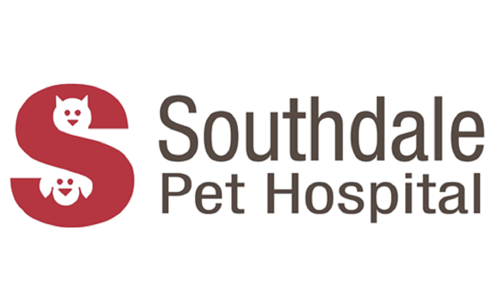 How to Choosing Trusted Veterinary Care for Your Pet