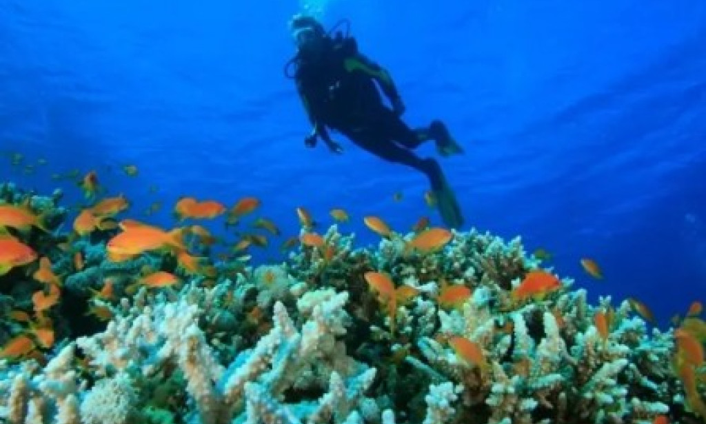What to Expect from an Andaman Tour Package from Kolkata