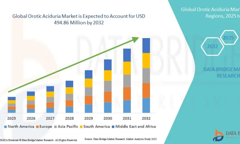 Orotic Aciduria Market Size, Share, Trends, Growth Opportunities, Key Drivers and Competitive Outlook