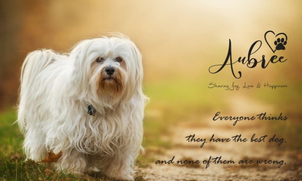 Top Puppy Breeds for Bangalore Homes: Find Your Perfect Companion- Aubree.co.in
