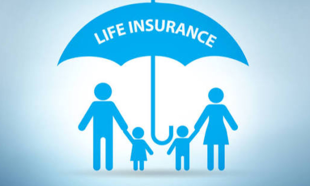 Understanding the Types of Term Insurance Plans for Each Life Stage