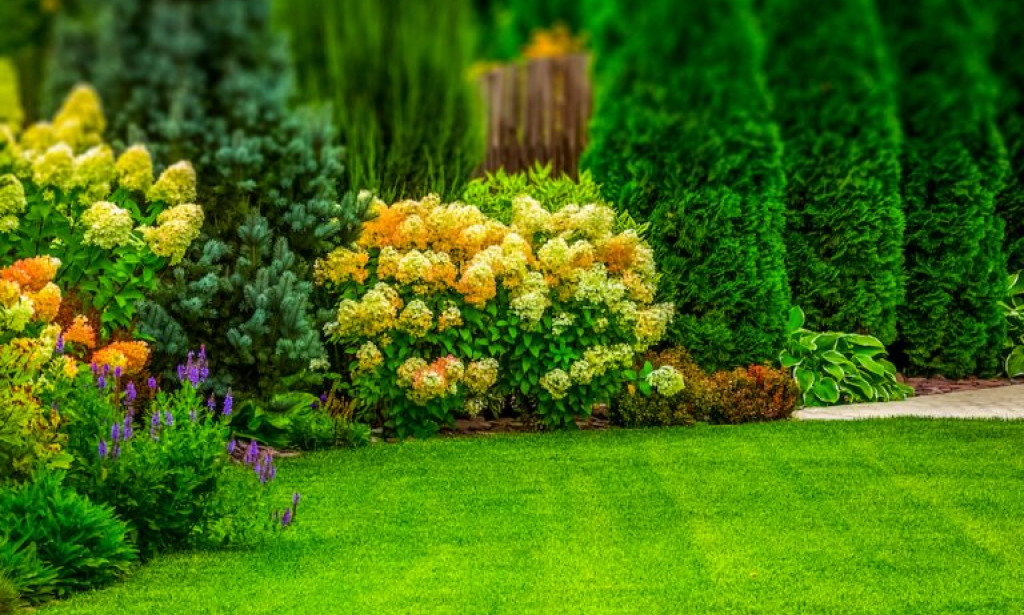 Landscaping Features That Make Your Property Stand Out