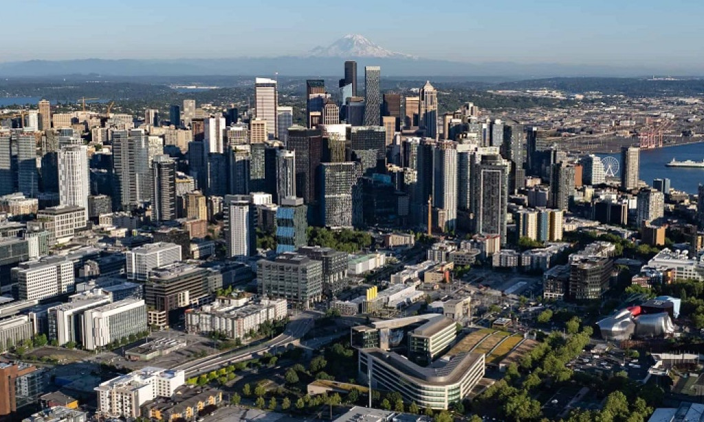How to Choose the Best Junk Removal Seattle Company