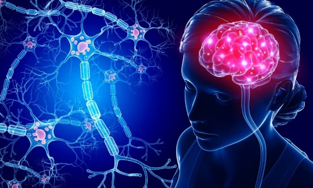 How does Cogniflo support brain health?