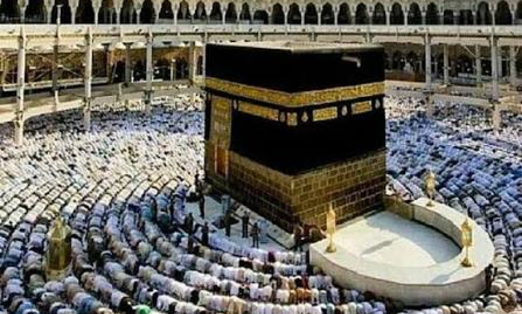 كيف تحجز رحلة مضمونة من مكة إلى المدينة؟TOP
