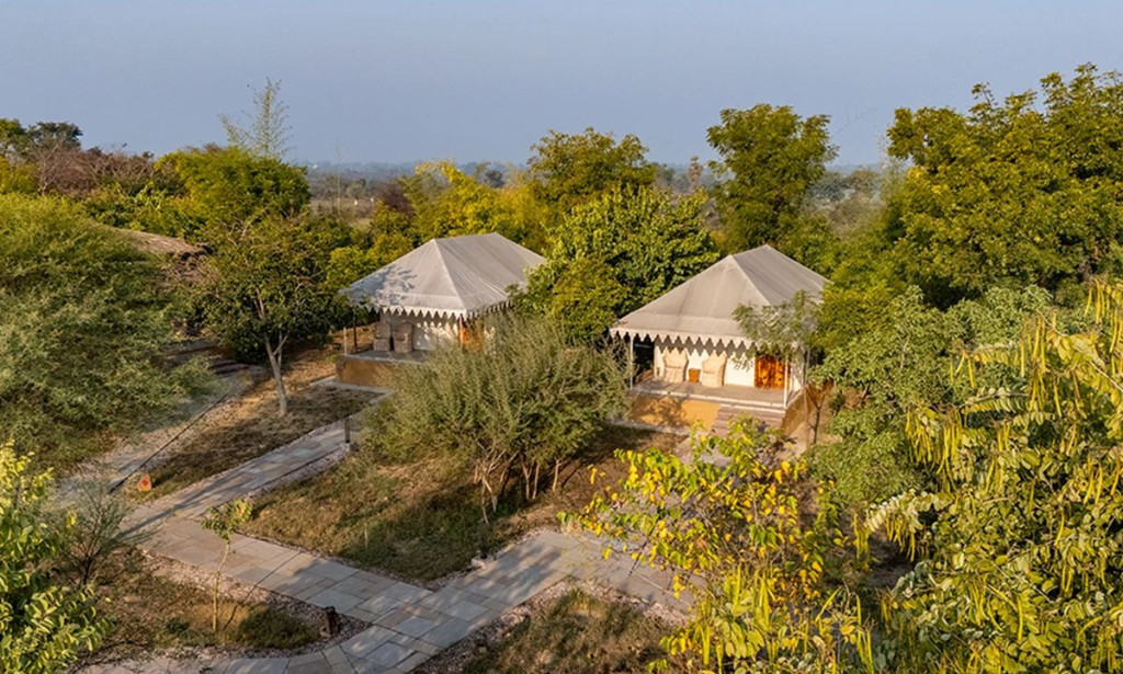 Best Resorts in Sariska: Where to Stay for a Great Wildlife Trip