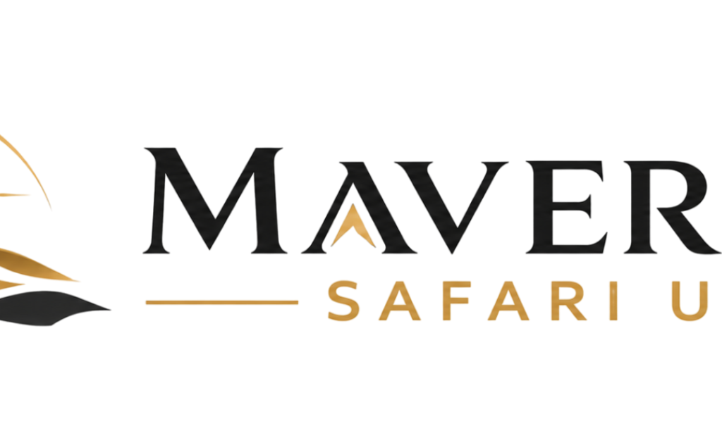 How Do You Choose the Best Desert Safari in Dubai 2026 ?