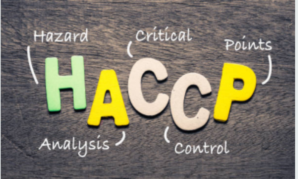 Top 10 HACCP Training in Kuwait: Build Food Safety Skills with Practical HACCP Knowledge