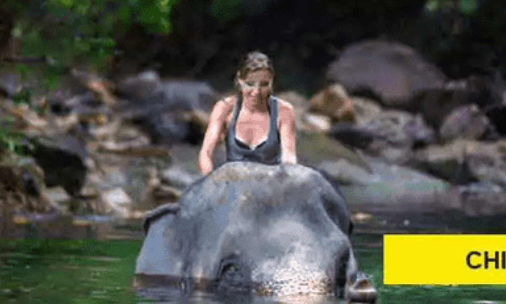 Nepal Tour Packages from India – Top Exciting Adventure Activities and Experiences