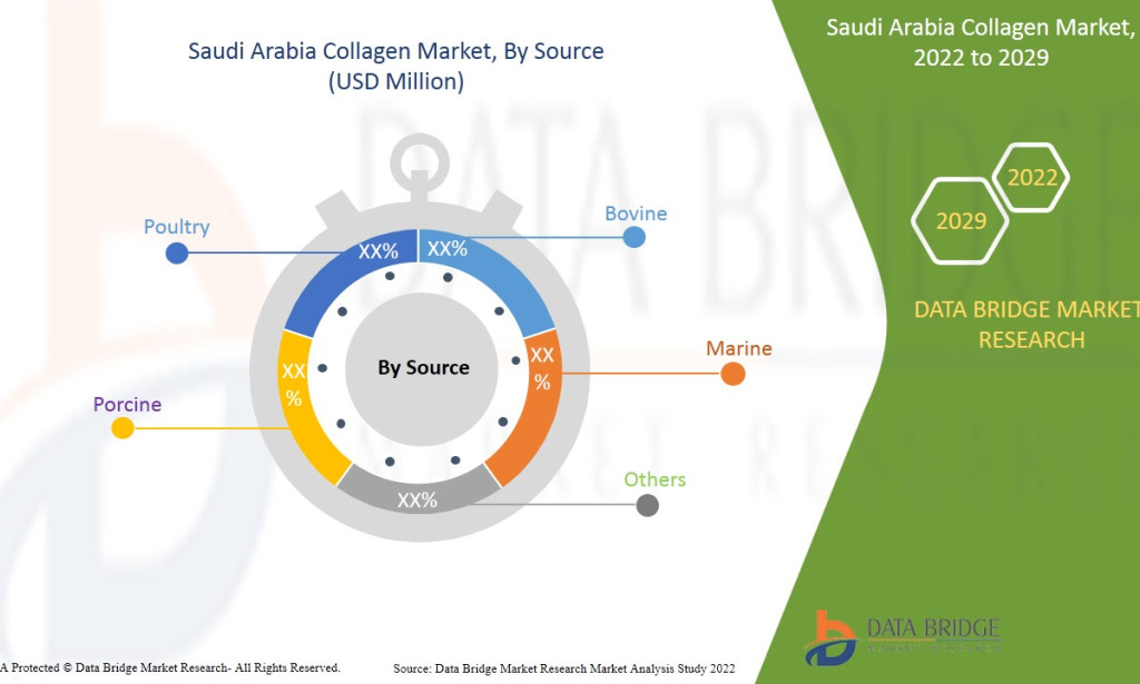 Saudi Arabia Collagen Market Size, Share, Trends, Growth Opportunities, Key Drivers and Competitive Outlook
