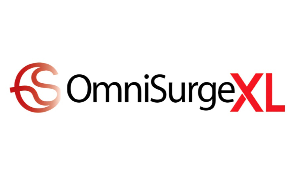 How OmniSurge XL Works and Whether Its Ingredients Support the Claims Behind the Formula