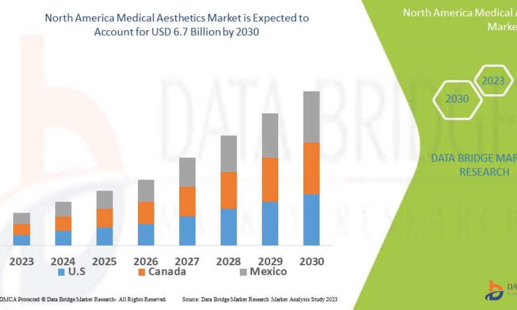 North America Medical Aesthetic Market Size, Share, Trends, Growth Opportunities, Key Drivers and Competitive Outlook